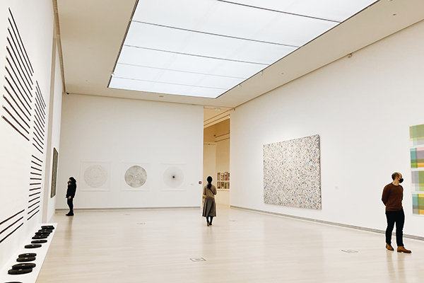 描写冬青的作文