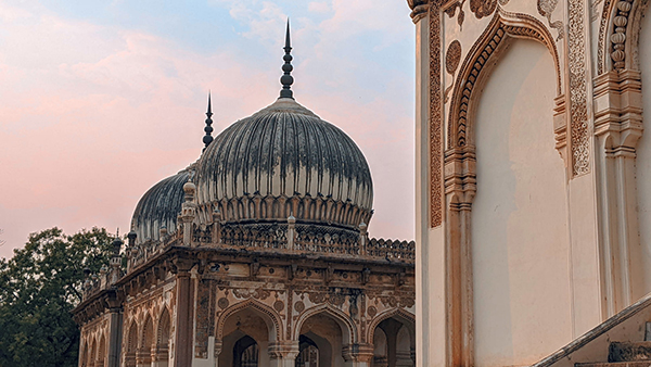 趴着的猫怎么画