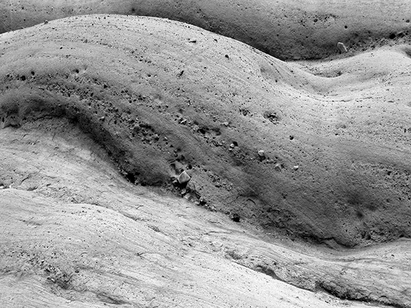 君不见什么之悠悠