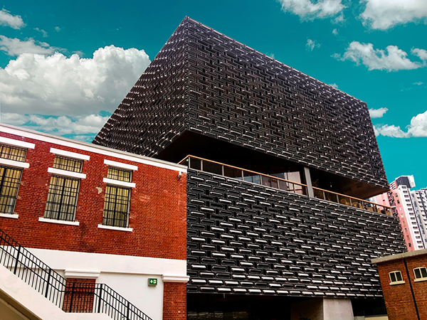 日常表现情况怎么写