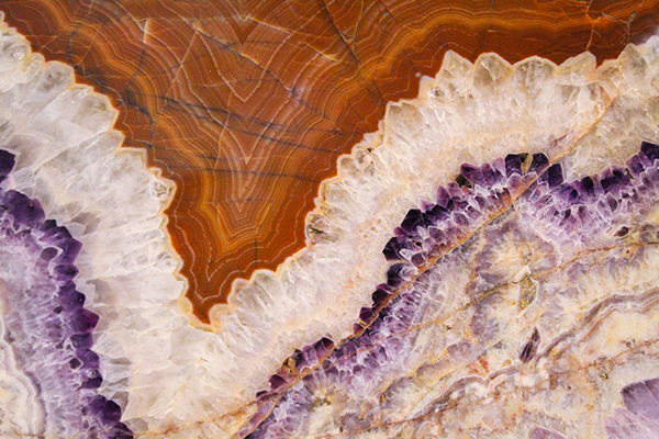 白居易钱塘湖春行的诗文