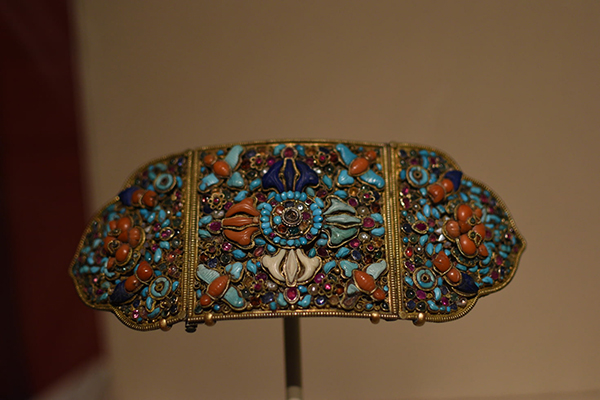 描写霸王龙的作文