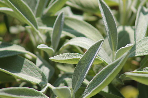 秋季是什么季节