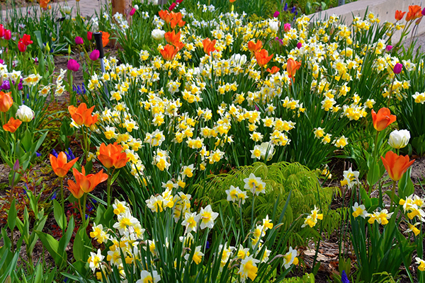 描写亲人相聚的句子