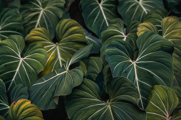 八十大寿请帖怎么写