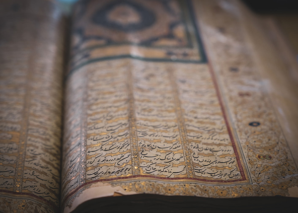 写公园的优美句子