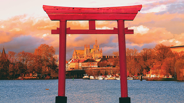 彩叶芋怎么变红