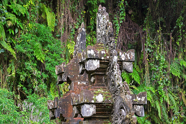 生活感慨的句子